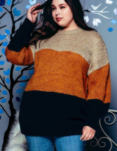 Knit Colorblock Sweater PLUS